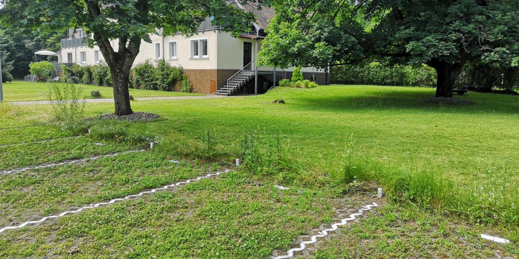 Niederwald Lejlighed Iffezheim Eksteriør billede